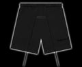 E Shorts